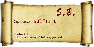 Spiesz Bálint névjegykártya